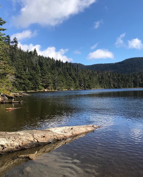 Sterling Pond Trail (Difficult)